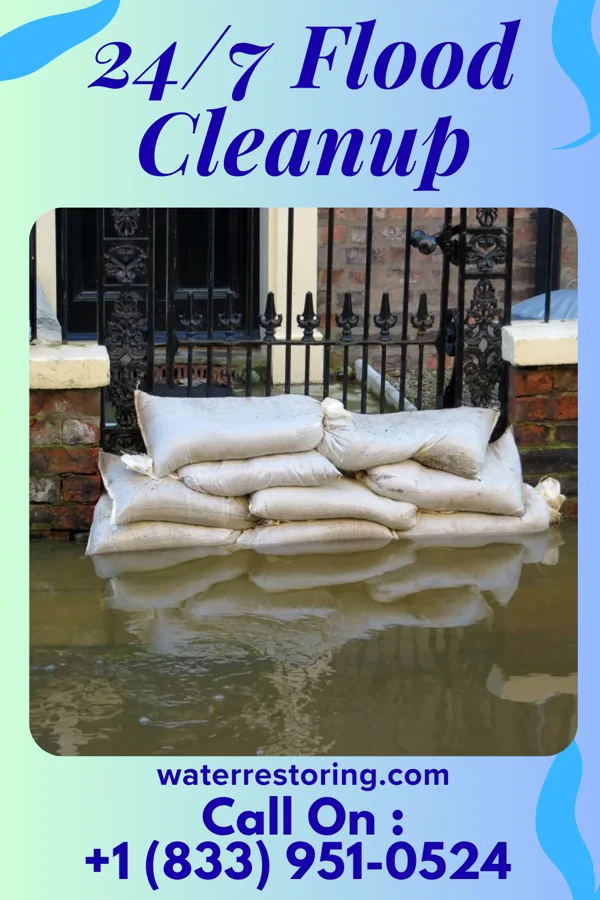 24/7 Flood Cleanup in Potomac Park, MD