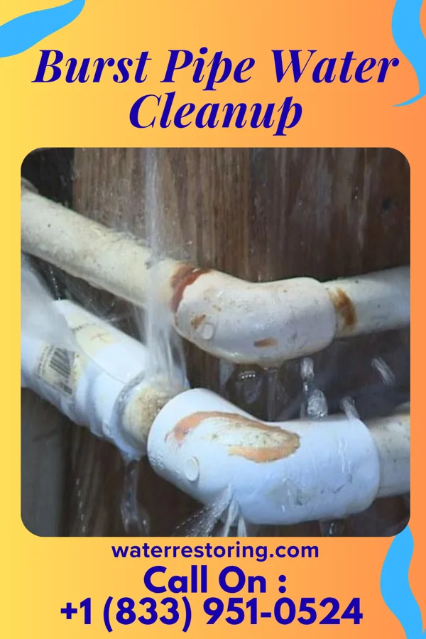 Burst Pipe Water Cleanup in Potomac Park, MD