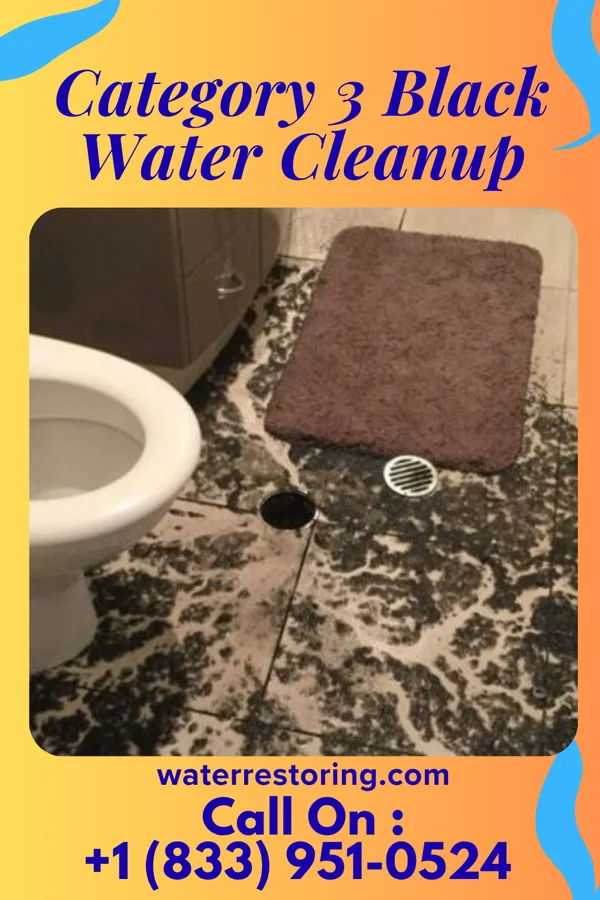 Category 3 Black Water Cleanup in Potomac Park, MD