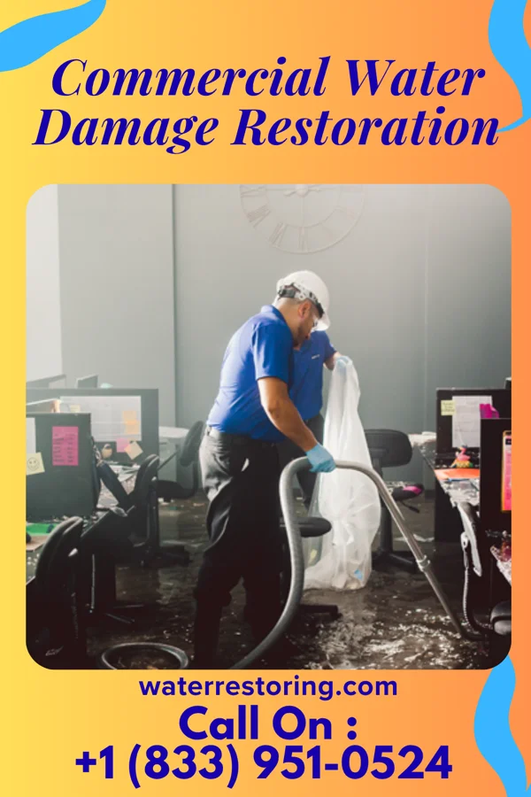Commercial Water Damage Restoration in Potomac Park, MD
