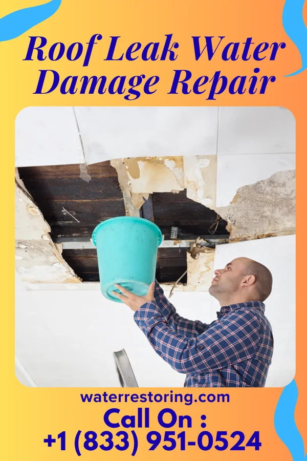 Roof Leak Water Damage Repair in Potomac Park, MD