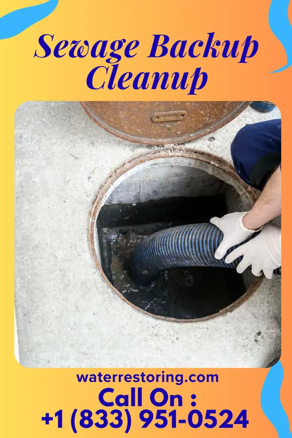 Sewage Backup Cleanup in Potomac Park, MD
