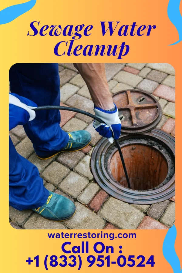 Sewage Water Cleanup in Potomac Park, MD
