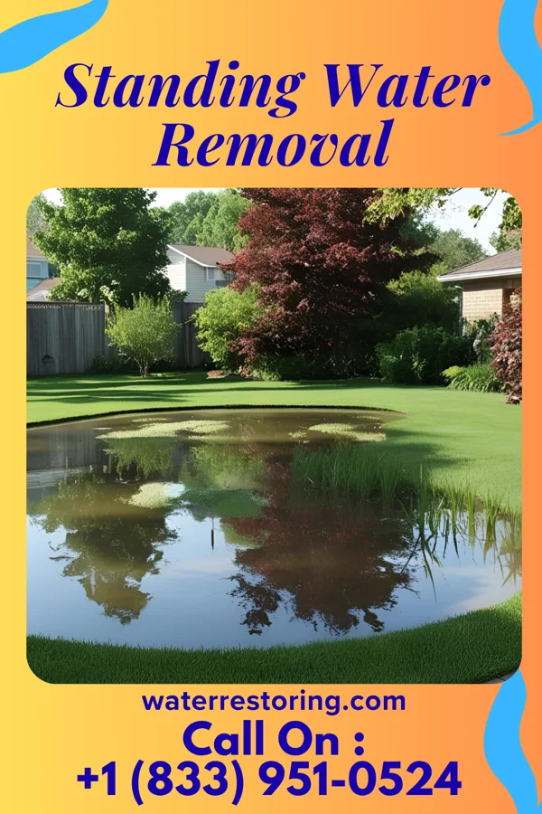 Standing Water Removal in Potomac Park, MD